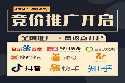 百度推广全攻略：成功案例剖析